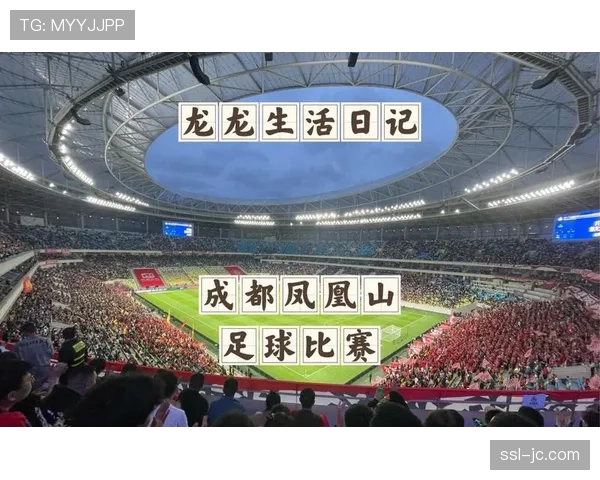 成都凤凰山专业足球场运营一周年，成金牌球市典范